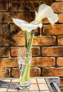 Calla Lilies in a Glass
