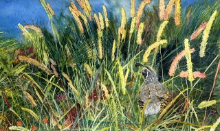 Prairie Abundance