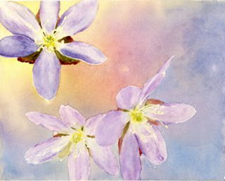 Bursts of Spring - Susan Archer