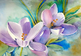 Crocus - Debra Hetzel Hanson