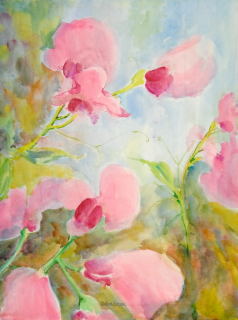 Sweet Pea - Debra Hetzel Hanson