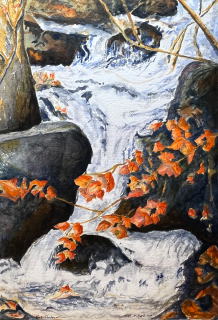 Fall Falls