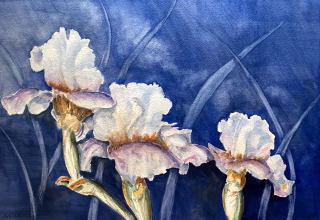 Iris Blue