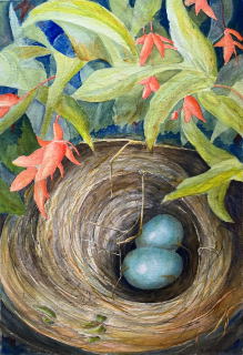 Robin's Nest