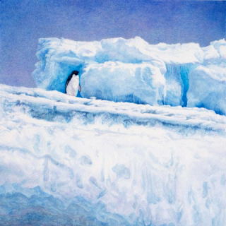 Solitude - Cary Hunkel