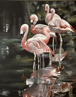 Flamingoes