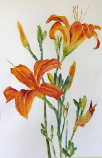 Daylillies II - Elizabeth Sawyer Kelly