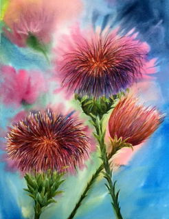 Thistles - Susan Nitzke