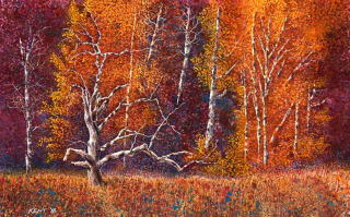  Jackson Oak - Kent Parks