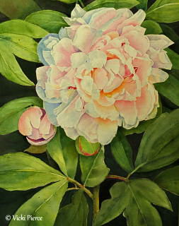 Petticoat Peony - Vicki Pierce